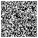 QR code with Pro Painting Net contacts