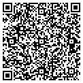 QR code with Paper Carrier contacts