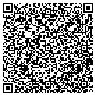 QR code with Pulse Reality Group contacts