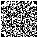 QR code with Cosmo Painting Inc contacts