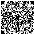 QR code with M2Dvd contacts