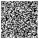 QR code with C & G Painting Inc contacts