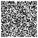 QR code with Colorado Painter LLC contacts