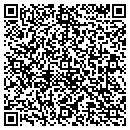 QR code with Pro Tek Painting CO contacts