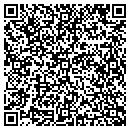 QR code with Castro's Painters LLC contacts