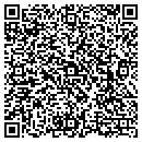 QR code with Cjs Pool Design Inc contacts