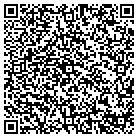QR code with Blue Diamond Pools contacts