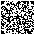 QR code with Accela contacts