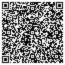QR code with Color Work Painting contacts