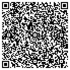 QR code with Bluepoint Technologies contacts