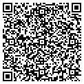 QR code with Mfgll contacts