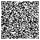QR code with Prodigy Painting Inc contacts
