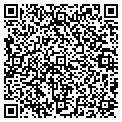 QR code with Modis contacts