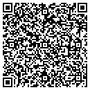 QR code with Pt Steppercise contacts