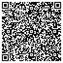 QR code with Profit System Online contacts