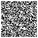 QR code with Chameleon Painting contacts