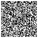 QR code with Blue Ridge Echo LLC contacts
