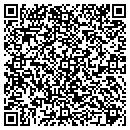 QR code with Professional Painters contacts