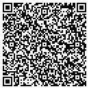 QR code with Carters Landscaping contacts
