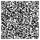 QR code with Briceno Painting Corp contacts