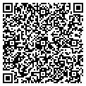 QR code with Netbiz contacts