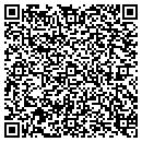 QR code with Puka Inti Painting LLC contacts