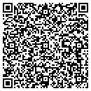 QR code with Pryor Peter W contacts