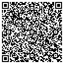 QR code with Blue Water Capital LLC contacts