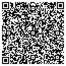 QR code with PrincetonOne contacts