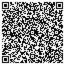 QR code with Chameleon Painting contacts