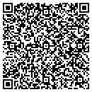 QR code with Cinet Technologies Co contacts