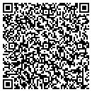 QR code with Color Quest Painting Inc contacts