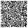 QR code with Begovic contacts