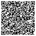QR code with Orgall contacts
