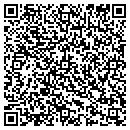 QR code with Premier Custom Painting contacts