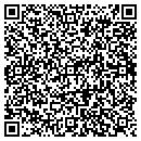 QR code with Pure Vision Painting contacts