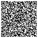 QR code with Concepts In Stone Inc contacts