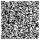 QR code with Bronzeville Painting contacts