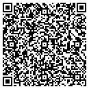 QR code with Cesar & Jose Painting contacts