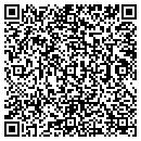 QR code with Crystal Power Washing contacts
