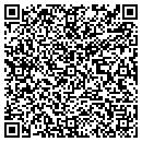 QR code with Cubs Painters contacts