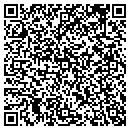 QR code with Professional Painters contacts