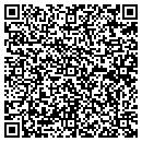 QR code with Process & Power Inc. contacts