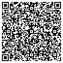 QR code with protravel network contacts