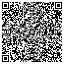 QR code with Pyrosutra LLC contacts