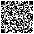 QR code with Belly contacts