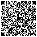 QR code with Cava Investments LLC contacts