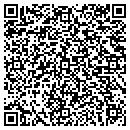 QR code with Princeton Diagnostics contacts