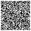 QR code with Cynergies Solutions contacts