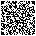 QR code with Asaeli contacts
